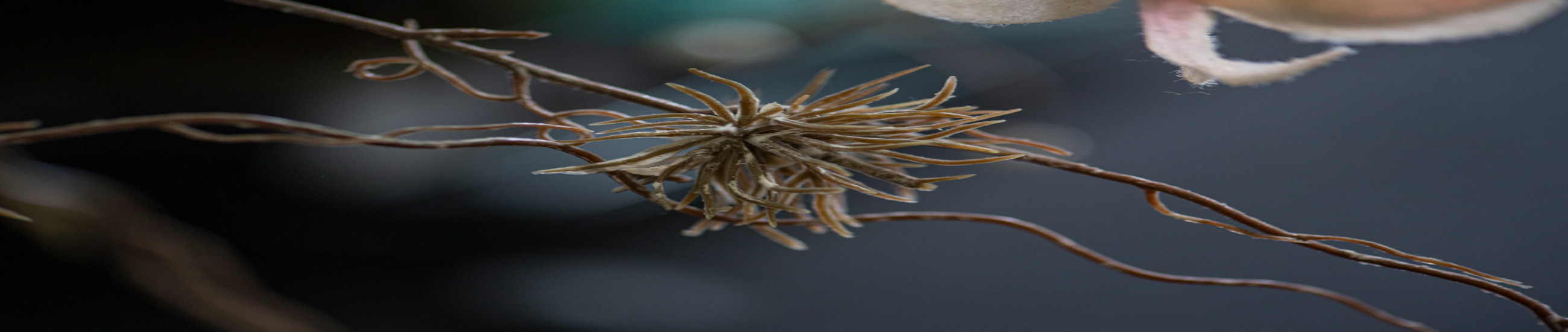 Rechtsanwälte Bottrop